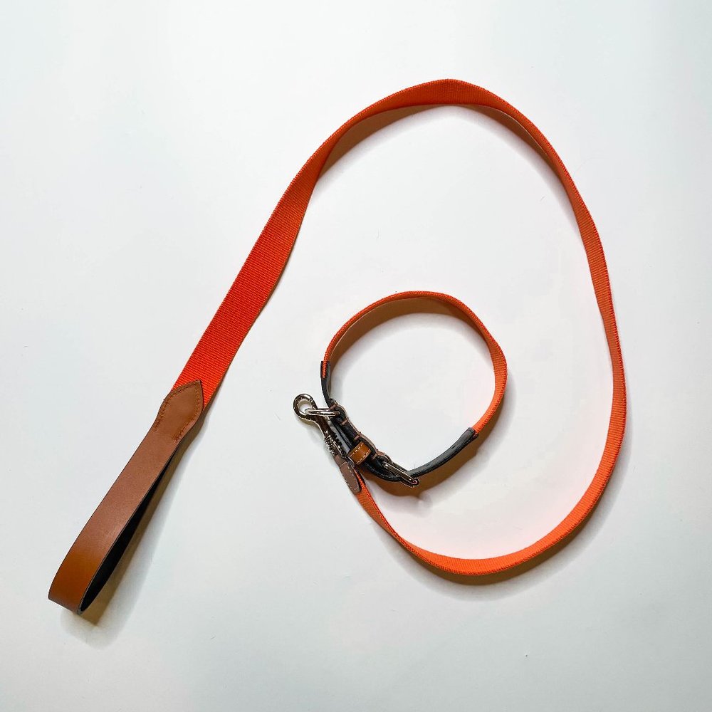 Zara Orange and Brown Leash and Collar